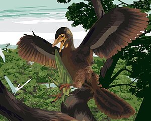 Der Archaopteryx mit Heuschrecke, portraitiert von Dr. Spindler