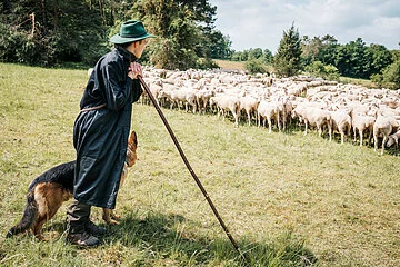 Altmühltaler Lamm mit Schäfer