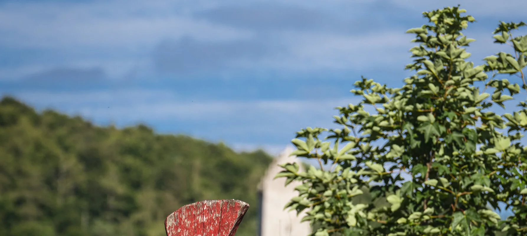 Kipfenberg-Shooting Juli 2020