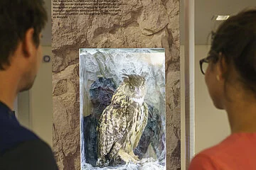 Ausstellung im Informationszentrum Naturpark Altmühltal