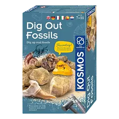Ausgrabungsset Fossilien
