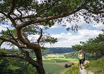 Wanderer bei Kipfenberg