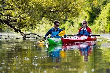 Bootstour mit dem Kanuzentrum Altmühltal Eine Mann im grünen Kanu und eine Frau im roten paddeln auf der Altmühl flussabwärts. Das Ufer ist satt grün und ein Ast hängt in die Altmühl herein, direkt hinter den zwei Paddlern.