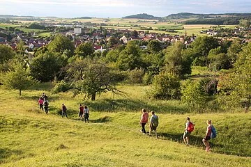Geführte Wanderung Geführte Wanderung auf der Leiten Thalmässing