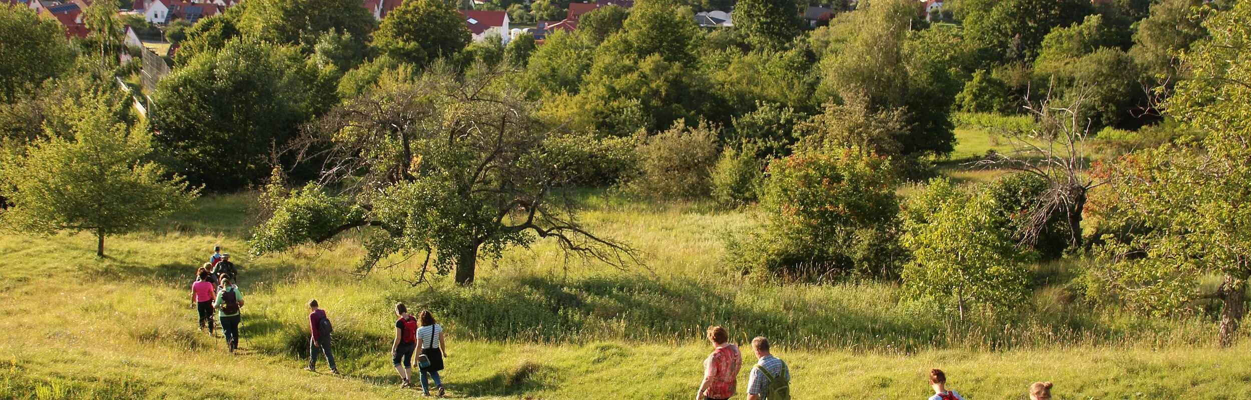 Geführte Wanderung auf der Leiten Thalmässing