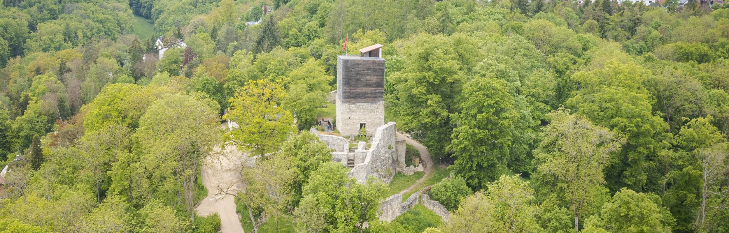 Burgruine von oben (quer)