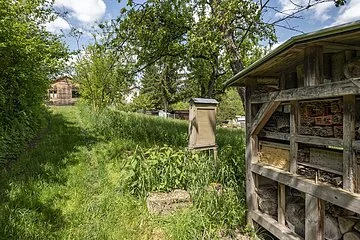 Die Aufnahme zeigt ein Holzgebäude im Grünen. 
Im vorderen Bildbereich führt eine Auffahrt direkt auf das Gebäude zu. 
Die Fassade des Hauses ist ganz aus Holz und umrandet zwei quadratische Fenster und ein dunkelrotes Schild, auf dem in beiger Schrift „Lehrbienenstand“ steht. Hinter dem Gebäude stehen zwei Birken. Links und rechts der Auffahrt wachsen blühende Sträucher und Hecken.