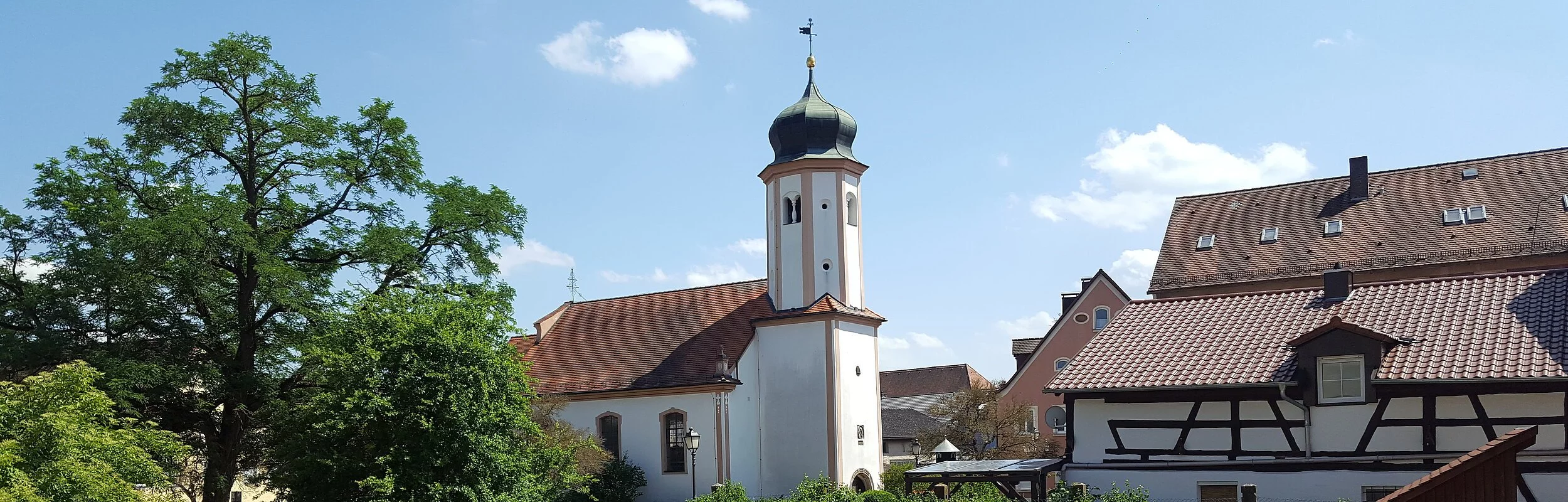 Im Vordergrund die Mauer des Stadtschlosses mit Rosen, im Hintergrund ist die Lambertuskirche und ein Fachwerkhaus zu sehen.