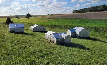 Auf einer grüne Wiese befinden sich 4 rekonstruierte Häuser.