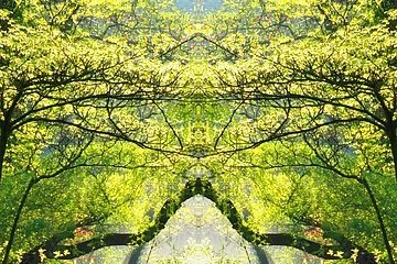 Eine rote Brücke über einem kleinen Bach. Umgeben von Grünen Bäumen durch die die Sonne strahlt.