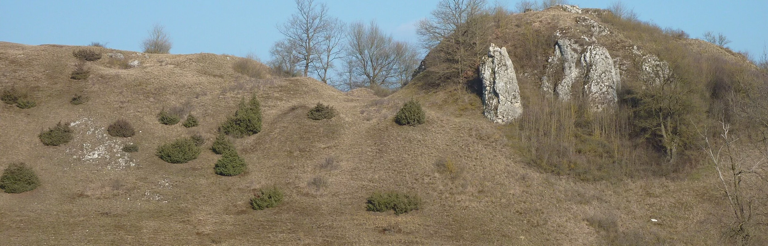 Blick auf die Überreste der Burg Wellwart, die in der Heidelandschaft zu sehen sind.