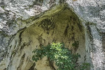 Blick auf die Ofnethöhlen.