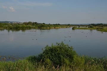 Ausblick vom Aussichtturm auf die Wasserfläche, die umgeben ist von grünen Wiesen.