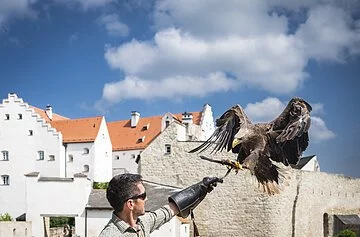 Flugvorführungen auf Schloss Rosenburg