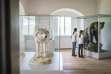 Burgmuseum im Schloss Rosenburg