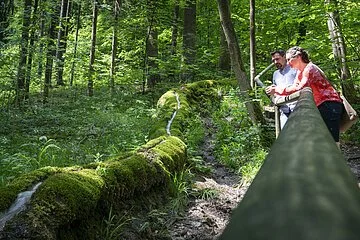 Steinerne Rinne bei Wolfsbronn