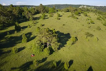 Wanderer auf der Gungoldinger Wacholderheide