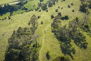 Wanderer auf der Gungoldinger Wacholderheide