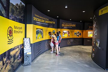 Dinosauriermuseum in Denkendorf Ausstellung