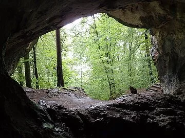 Klausenhöhle Bild der Haupthöhle mit Blick nach außen in den Wald