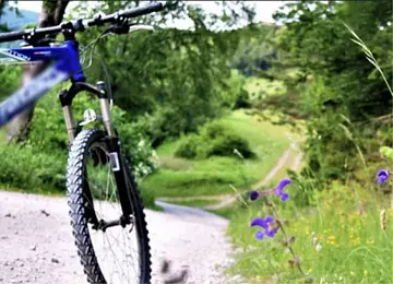 Ein Fahrrad im Hintergrund ein Radweg umgeben von grüner Wiese und Bäumen