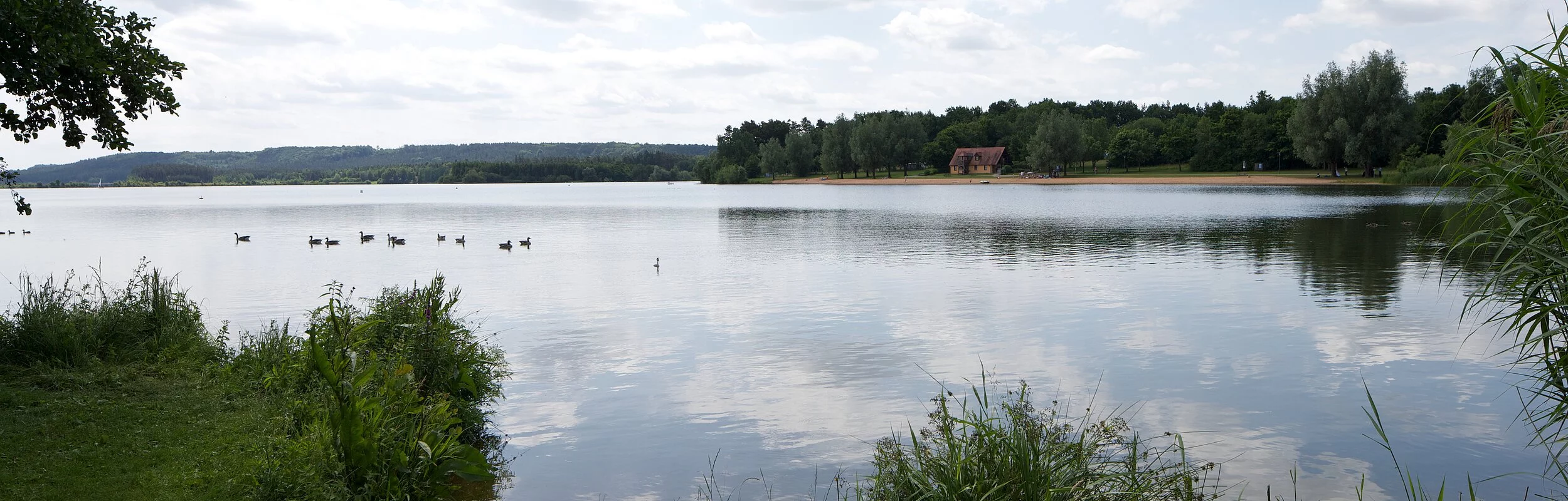 Blick auf den kleinen Brombachsee mit seinen grün bewachsenen Ufern.