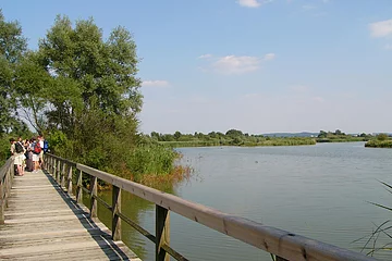 Mehrere Stege sind Teil des Rundweg auf der Vogelinsel.