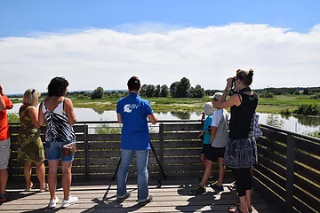 Vom Aussichtsturm auf der Vogelinsel aus lassen sich viele verschiedene Vögel beobachten.