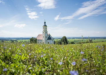 Wallfahrtskirche Maria Brünnlein Die Wallfahrtskirche Maria Brünnlein ist von weiten zu sehen. Sie liegt idyllisch inmitten grüner Wiesen. Der Himmel strahlt blau, nur wenige Wolken sind zu sehen.