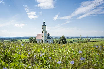 Die Wallfahrtskirche Maria Brünnlein ist von weiten zu sehen. Sie liegt idyllisch inmitten grüner Wiesen. Der Himmel strahlt blau, nur wenige Wolken sind zu sehen.