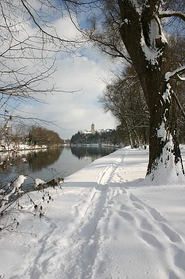 Donau im Winter Winter am Brandl
