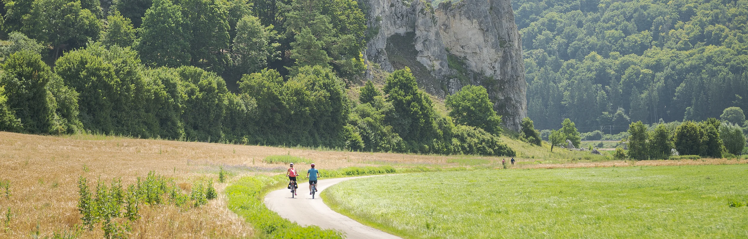 Zwei Radfahren auf dem Altmühltal-Radweg mit Blick auf den Felsen in Dollnstein. Links und rechts sind Felder und Wiesen und die Sonne strahlt vom Himmel.