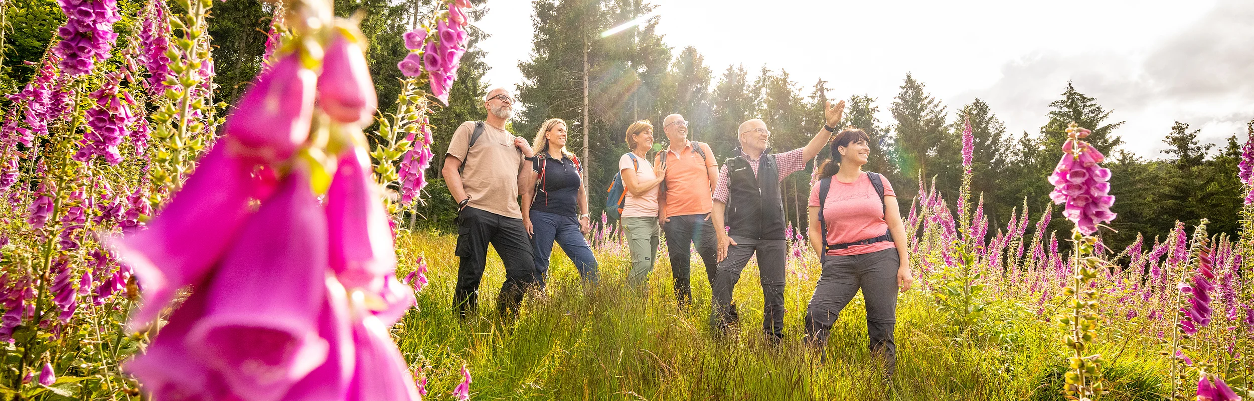Wanderer stehen auf einer Wiese zwischen Blumen und schauen in das Tal. Die Sonne strahlt auf die Wiese.