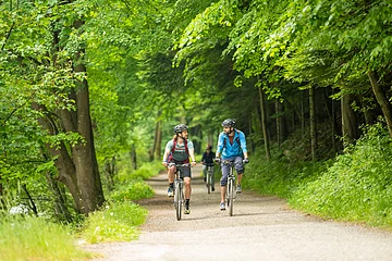 Pauschalangebot Radeln Wikinger Reisen Zwei Fahrradfahrer fahren auf einem schönen asphaltierten Weg durch den Wald und genießen die Sonnenstrahlen.