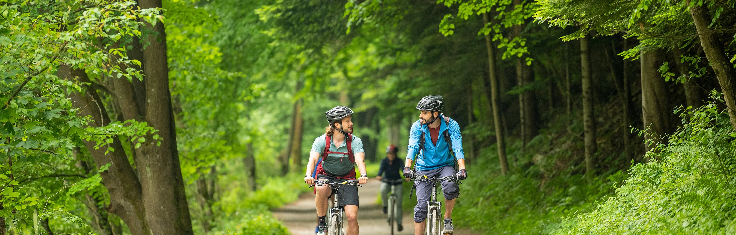 Zwei Fahrradfahrer fahren auf einem schönen asphaltierten Weg durch den Wald und genießen die Sonnenstrahlen.