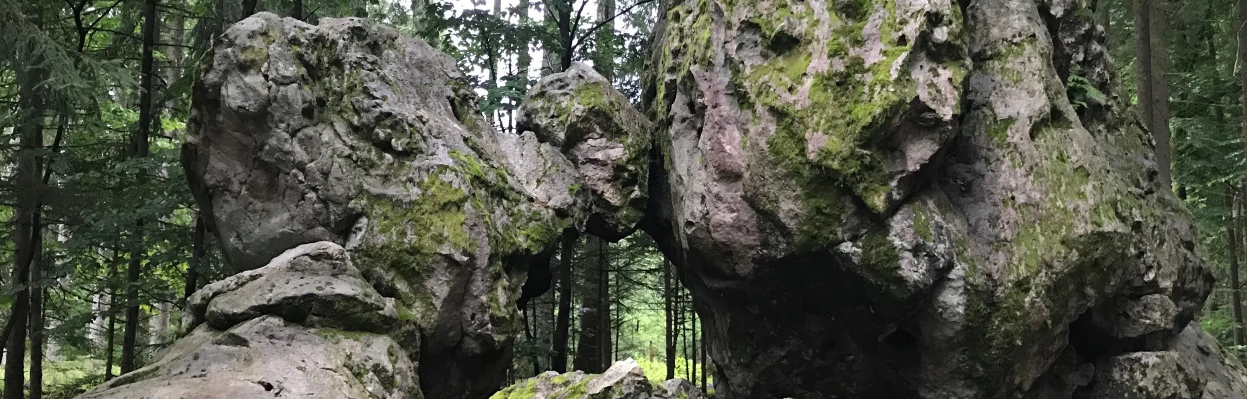 Hoher Stein Möckenlohe