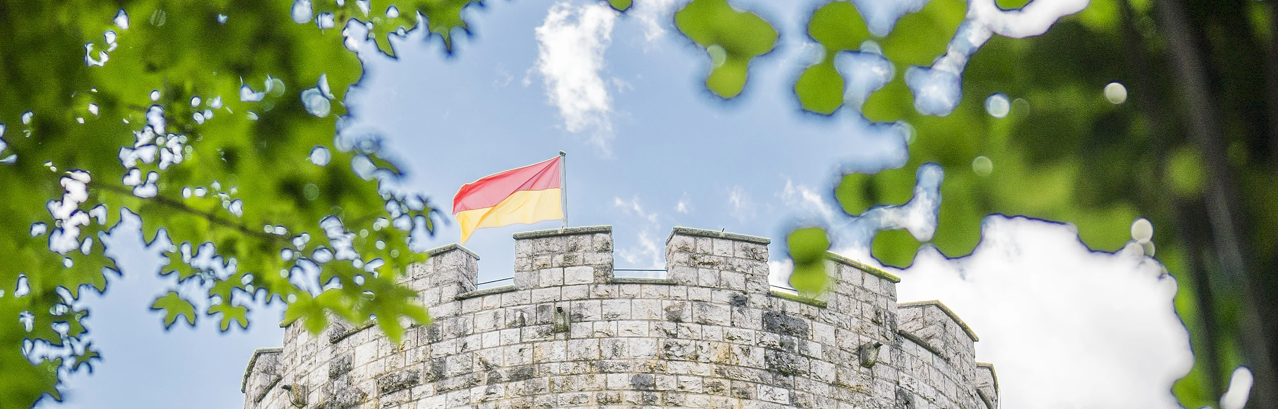 Das Bild zeigt den oberen Teil des Heinrichsturms, einen runden, gemauerten Turm mit Zinnen. In der Mitte des Turms weht eine rot-gelbe Fahne. Das Foto wurde durch ein rundes Blätterdach aufgenommen – die grünen Blätter umrahmen das Motiv kreisförmig.