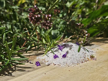 Kräutersalz Auf einem Holzbrett mit im Hintergrund Büsche und Sträucher liegt das frische Kräutersalz auf dem Brett.