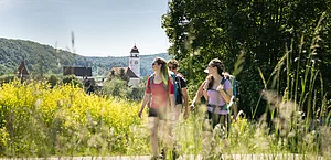 Drei Wanderer mit sommerlicher Kleidung sind auf dem Altmühltal-Panoramaweg unterwegs. Die zwei Frauen im Vordergrund tragen rot und lila Shirt, dahinter wandert ein Mann im dunklen Shirt. Der Wanderweg wird von grünem Gras gesäumt. Links erhascht man einen Blick auf Dollnstein und seine Kirche. Rechts ragt ein großer Baum hoch.