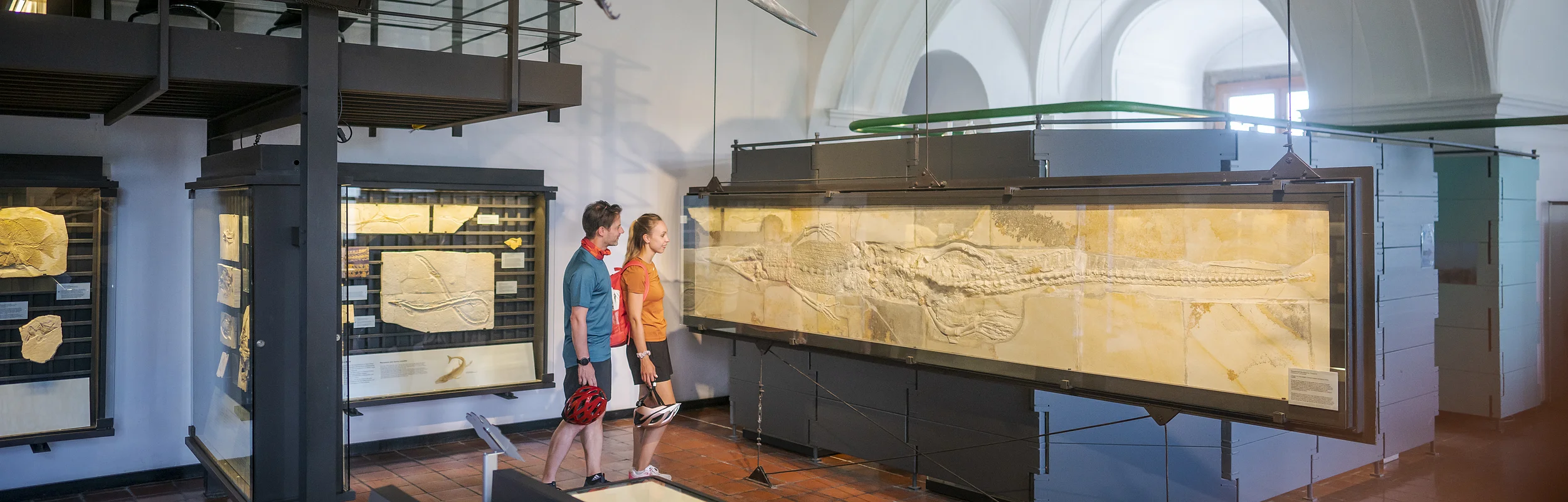 Zwei Personen betrachten Fossilien in einem Museum mit einem Modell eines prähistorischen Fisches an der Decke.