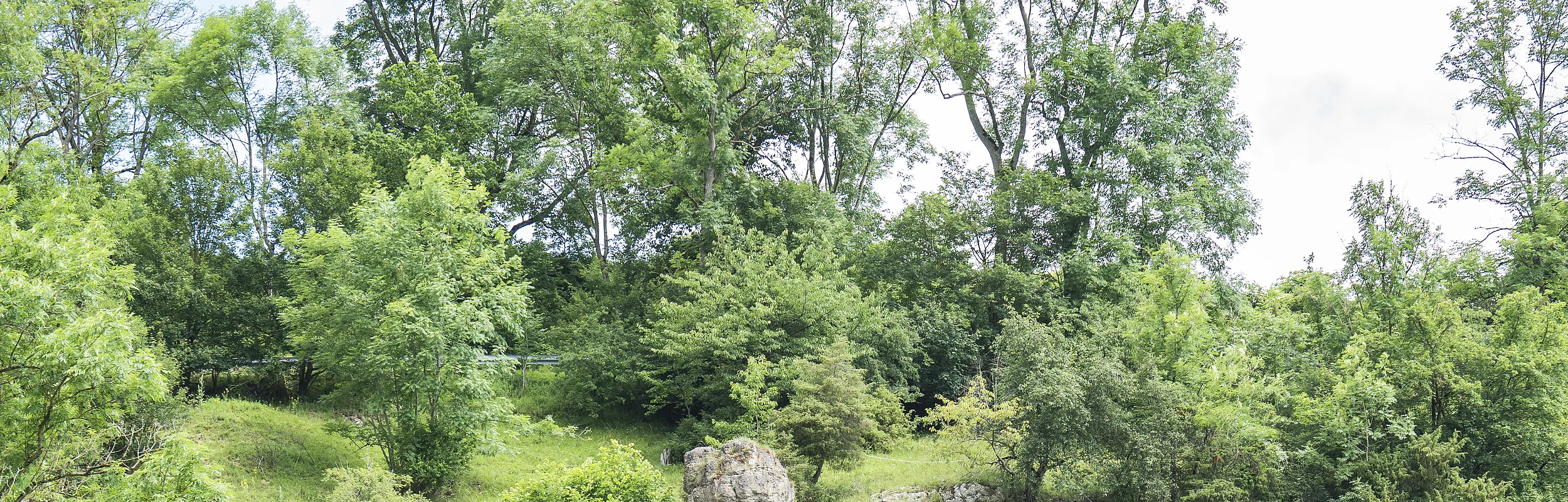 Grüne Hügellandschaft mit Felsen, Bäumen und einem Gebäude im Vordergrund. Spielplatz mit Klettergerüst sichtbar.