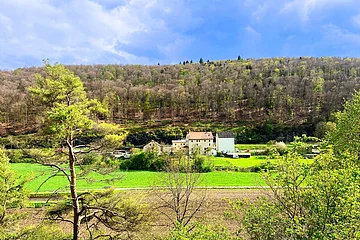 Landschaft mit einem Baum im Vordergrund, Wiesen, einem Gebäude und einem bewaldeten Hügel im Hintergrund.