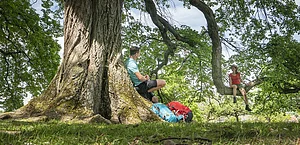 Mann sitzt am Baumstamm, Frau sitzt auf Ast, zwei Rucksäcke liegen auf Gras unter Baum.