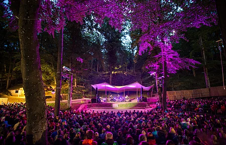 Open-Air-Konzert mit Bühne und Publikum im Wald, Bäume mit lila Bühnenbeleuchtung beleuchtet.