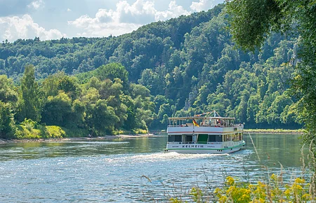 Personenfähre auf Fluss vor bewaldetem Hügel bei sonnigem Himmel und Ufer mit Pflanzen im Vordergrund