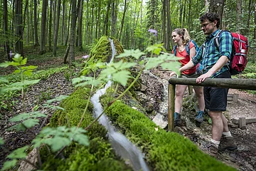 Zwei Wanderer mit Rucksäcken beobachten einen mit Moos bewachsenen Wasserlauf im Wald.