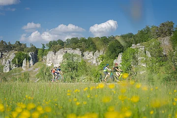 Vier Radfahrer fahren auf einem Weg vor bewaldeten Felsen unter blauem Himmel mit Wolken.