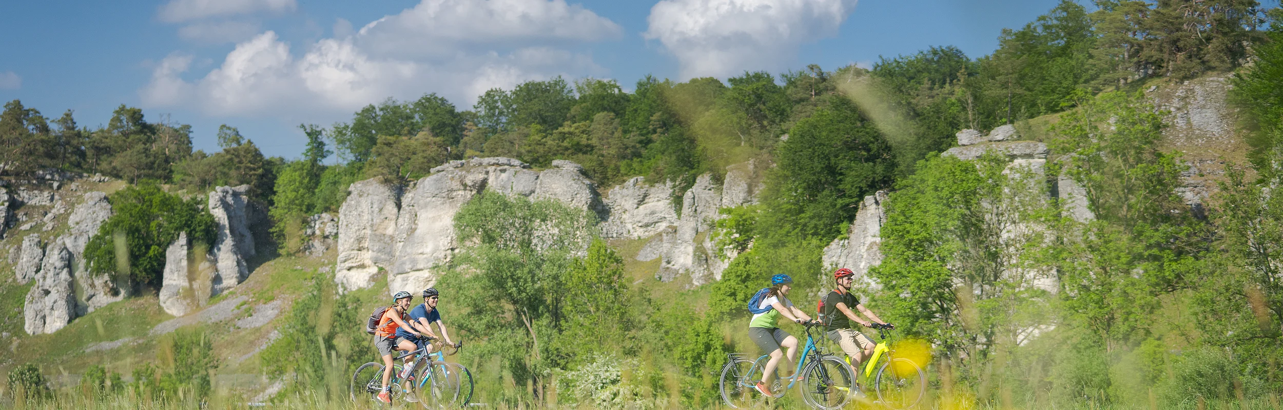 Vier Radfahrer fahren auf einem Weg vor bewaldeten Felsen unter blauem Himmel mit Wolken.