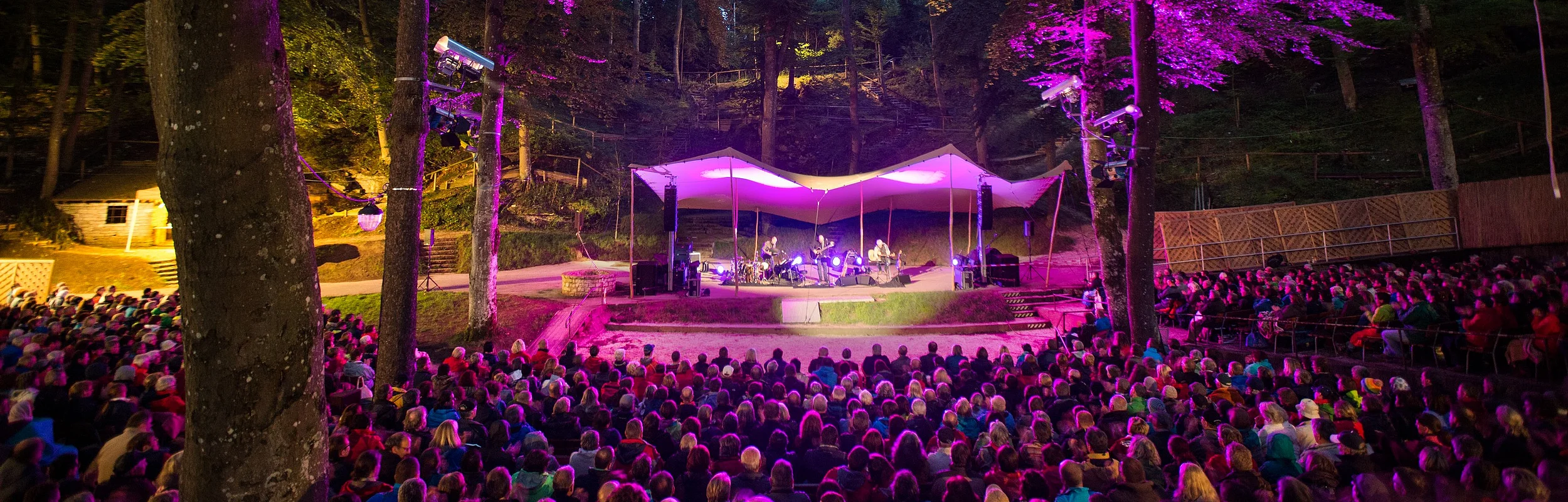 Open-Air-Konzert mit Bühne und Publikum im Wald, Bäume mit lila Bühnenbeleuchtung beleuchtet.