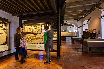 Museum mit Fossilien in Vitrinen, eine Frau zeigt zwei Kindern ein Fossil, im Hintergrund zwei ältere Personen bei Ausstellungen.